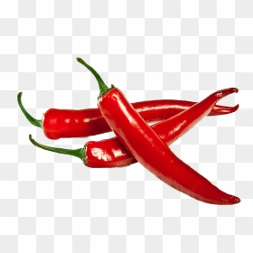Chutney Chili Pepper Indian Cuisine Chili Powder Spice - Chilli Png, Transparent Png - chili pepper png