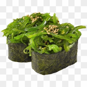 Seaweed Png, Transparent Png - seaweed png