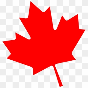 Flag Of Canada Maple Leaf Canada Day - Canadian Maple Leaf Png, Transparent Png - canadian flag png