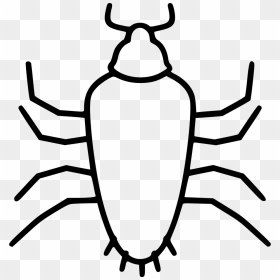 Cockroach, HD Png Download - cockroach png