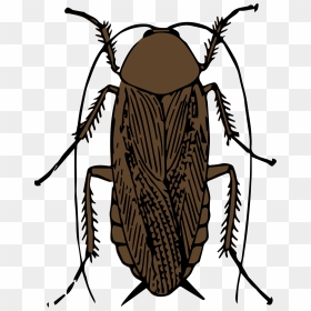 Cockroach Color Clip Arts - Cockroach Smoking A Roach, HD Png Download - cockroach png