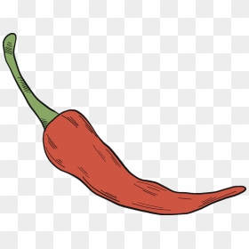 Chilli Pepper Clipart - Illustration, HD Png Download - chili pepper png