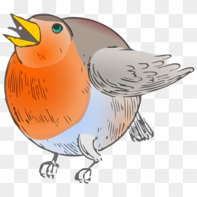 Colored Clip Arts - Round Robin Clipart, HD Png Download - robin png