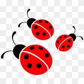 Ladybug Vector Image - Clipart Ladybug Png, Transparent Png - ladybug png