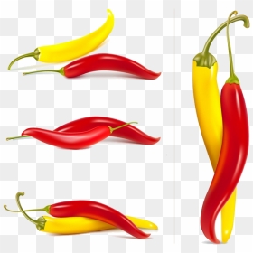 Orange Clipart Chili Pepper - Free Chilli Vector Download, HD Png Download - chili pepper png