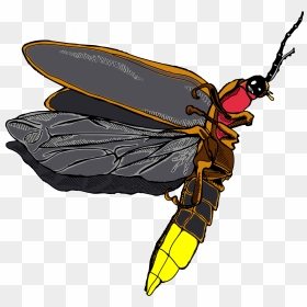Thumb Image - Firefly Png, Transparent Png - firefly png