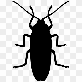 Cockroach Silhouette - Silhouette Of A Cockroach, HD Png Download - cockroach png