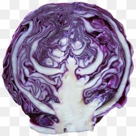 Red Cabbage Png Image - Red Cabbage Png, Transparent Png - cabbage png