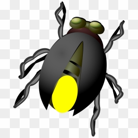 Firefly Download Clip Art - Firefly Clip Art, HD Png Download - firefly png