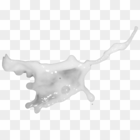 Vector Milk Splash Png - Milk Psd, Transparent Png - milk splash png