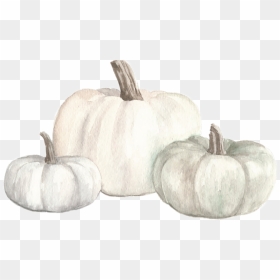 #watercolor #white #pumpkins #fall #autumn #png - Pumpkin, Transparent Png - pumpkins png
