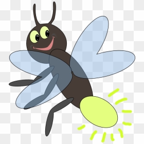 Bug Clipart Firefly - Firefly Clipart, HD Png Download - firefly png