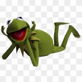 Transparent Crazy Frog Png - Kermit The Frog Transparent, Png Download - kermit the frog png