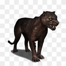 Tw3 Journal Panther - Pantera D&d, HD Png Download - panther png