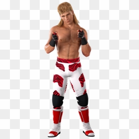 Shawn Michaels Rings Sports Png - Shawn Michaels Svr 2011, Transparent Png - wrestling ring png