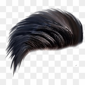 Men Hair Png Transparent Image - Hair Png, Png Download - men hair png