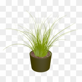 Pot Plant Clipart Land Clipart - Binsen Im Topf, HD Png Download - potted plant png