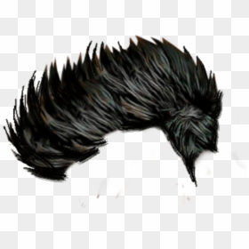 Men Hair Png Image - Picsart Goggles Png Hd, Transparent Png - men hair png