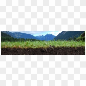 Field, HD Png Download - soil png