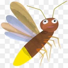 Firefly Clipart - Net-winged Insects, HD Png Download - firefly png