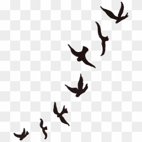 Flying Bird Silhouette Tattoo Png - Passaros Png, Transparent Png - flock of birds png