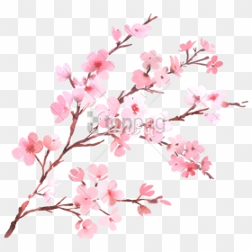 Watercolor With Spring Tree Branch In Blossom - Cherry Blossom Png Transparent, Png Download - cherry blossom tree png