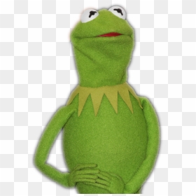 Kermit The Frog , Png Download - Kermit The Frog Png, Transparent Png - kermit the frog png