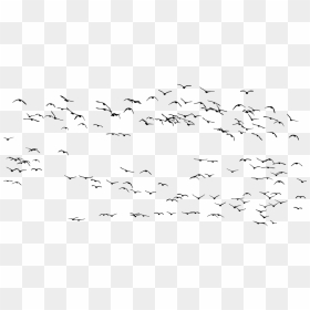 鳥 シルエット 群れ 無料, HD Png Download - flock of birds png