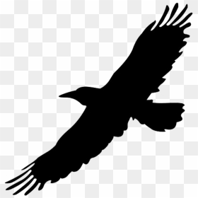 Bird Silhouettes - Black Bird Flying Png, Transparent Png - flock of birds png