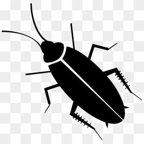 Roach Vector Cockroach - Cockroach Clipart, HD Png Download - cockroach png