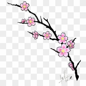 Cherry Blossom Tattoo Design, HD Png Download - cherry blossom tree png