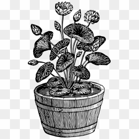 Potted Plant 10 Clip Arts - Potted Plant Clip Art Black And White, HD Png Download - potted plant png