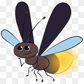 Firefly Clipart - Cartoon, HD Png Download - firefly png