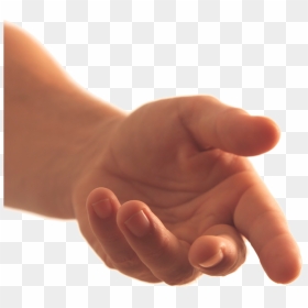 Hands Png Image - Holding Out Hand Transparent, Png Download - holding hands png