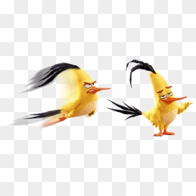 Angry Birds Wiki - Yellow Angry Birds Characters, HD Png Download - flock of birds png