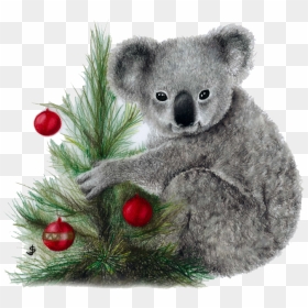 Koala Png Image Download - Koala, Transparent Png - koala png