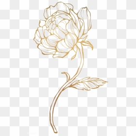 Gold Flower Png - Transparent Gold Flower Png, Png Download - rose outline png