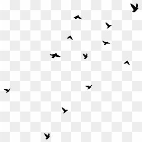 Aesthetic Clipart Bird Svg Library Stock Birds Black - Flying Birds Gif Transparent, HD Png Download - flock of birds png