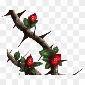 Transparent Thorn Crown Png - Rose With Thorns Png, Png Download - thorns png