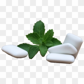 Chewing Gum Mint Leaves Png - Chair, Transparent Png - mint png