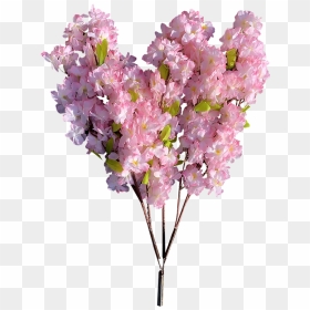 Bouquet, HD Png Download - cherry blossom tree png
