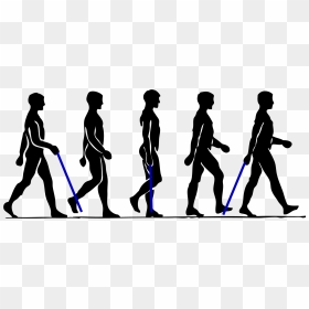 Walking Person Clip Art - Man Walking Step By Step, HD Png Download - people walking away png
