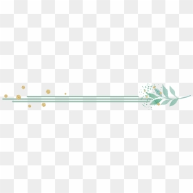 Wrapping Paper, HD Png Download - page divider png