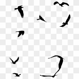 Ocean Birds Png File - Sea Birds Flying Silhouette, Transparent Png - flock of birds png
