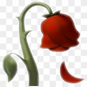 #emoji #rose #rosa #ios10 #whatsapp #red #love #flower - Dying Rose Emoji, HD Png Download - flower emoji png