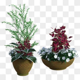 Vasi Piante Esterno 3d Free Download, HD Png Download - potted plant png