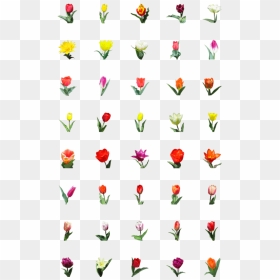 Flower Emoji Tulip, HD Png Download - flower emoji png
