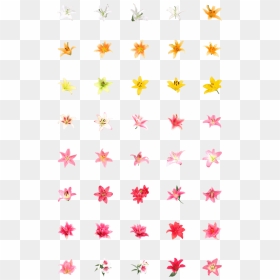 Lily Emoji, HD Png Download - flower emoji png