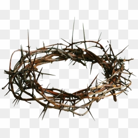 Thorns Transparent Png - Crown Of Thorns Png, Png Download - thorns png