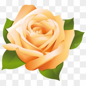 15 Pink Rose Vector Png For Free Download On Mbtskoudsalg - Orange Rose Clip Art, Transparent Png - rose outline png